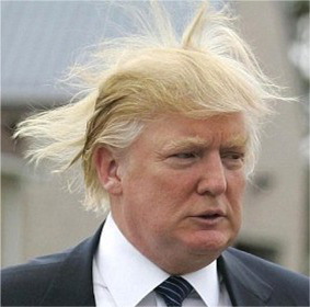 Donald-Trump-hair